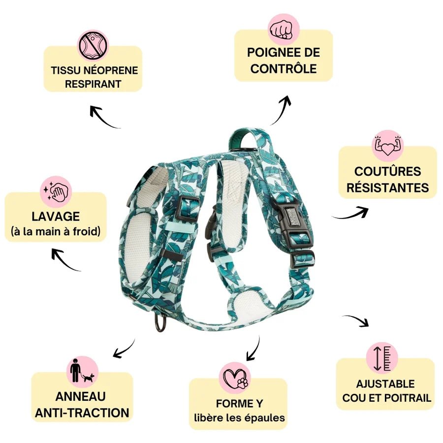 Harnais chien anti-traction Amazonia vert palmier - Arizona Hotdogs - DOG DéliCAT