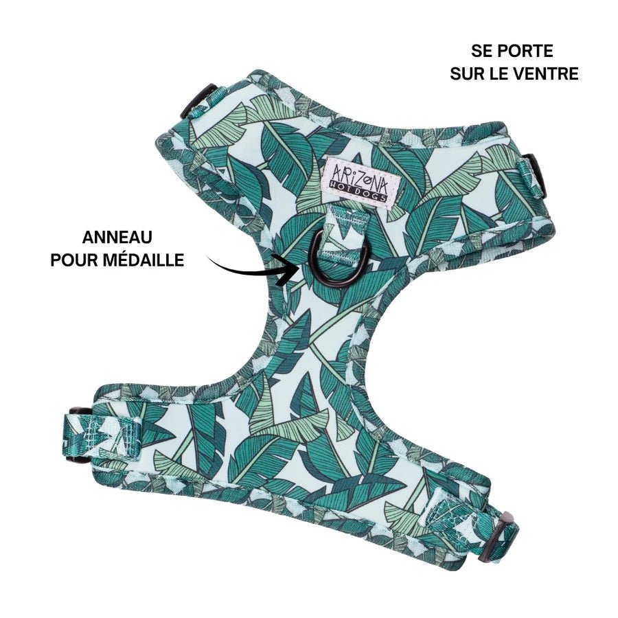 Harnais chien en H réglable Amazonia turquoise - Arizona Hotdogs - DOG DéliCAT