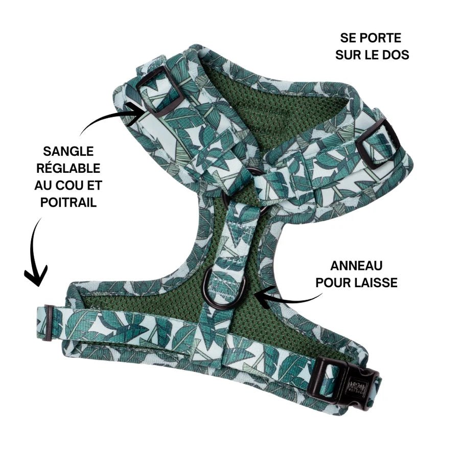 Harnais chien en H réglable Amazonia turquoise - Arizona Hotdogs - DOG DéliCAT