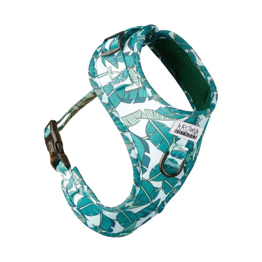 Harnais chien en H réglable Amazonia turquoise - Arizona Hotdogs - DOG DéliCAT