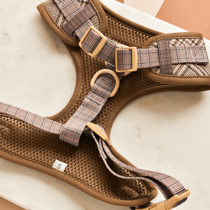 Harnais chien Pup Plaid ajustable en H – chic & sécurisé - COCOPUP LONDON - DOG DéliCAT