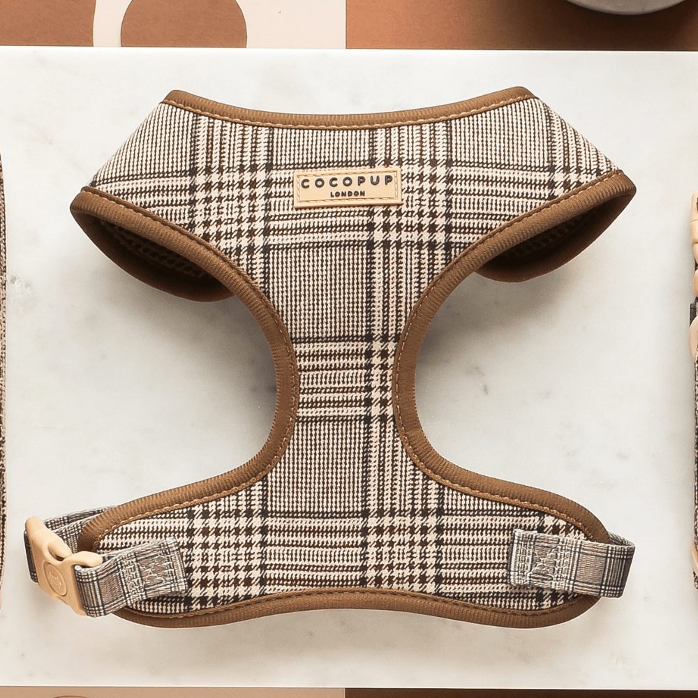 Harnais chien Pup Plaid ajustable en H – chic & sécurisé - COCOPUP LONDON - DOG DéliCAT