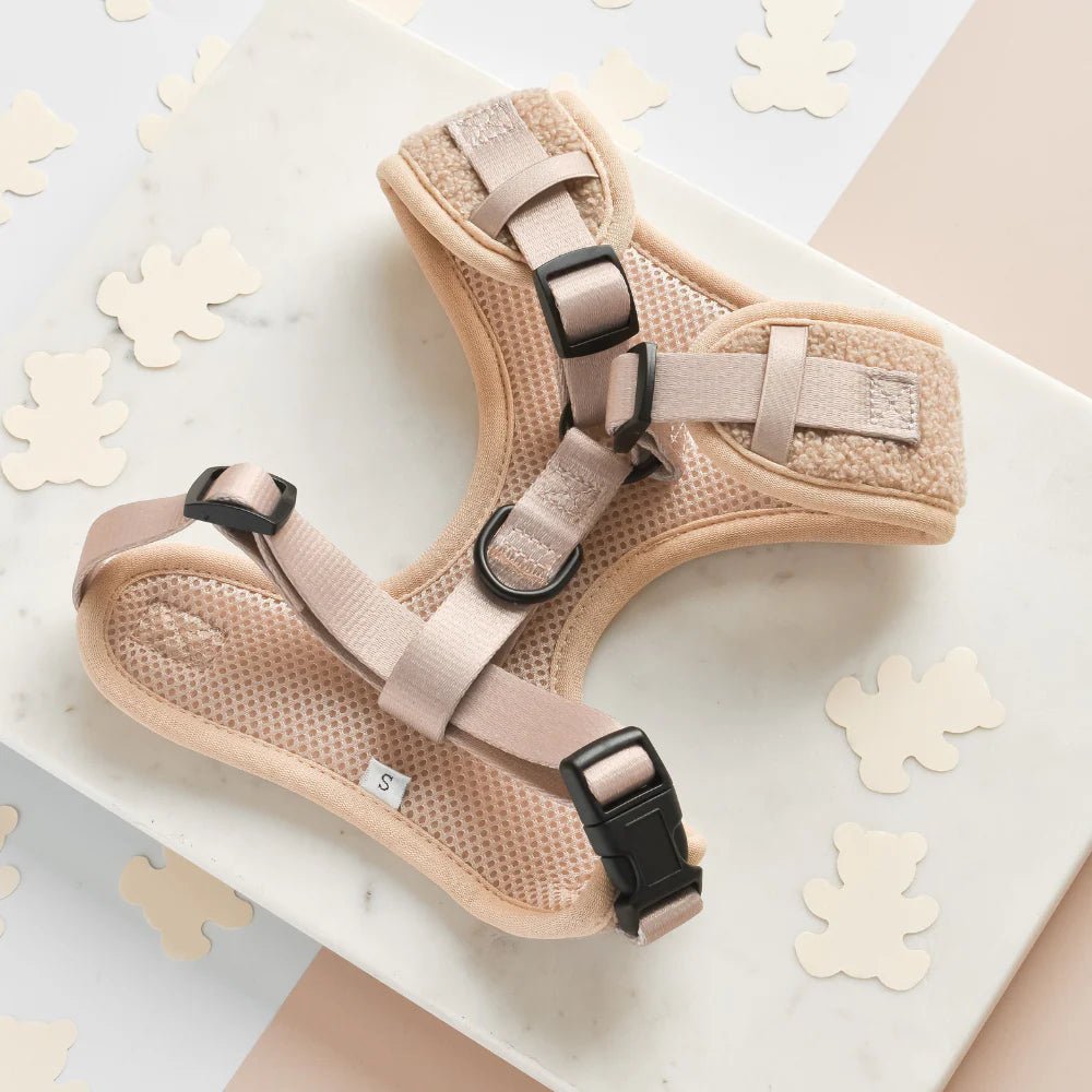 Harnais chien Teddy Rupert en H – doux, cosy & ajustable - COCOPUP LONDON - DOG DéliCAT