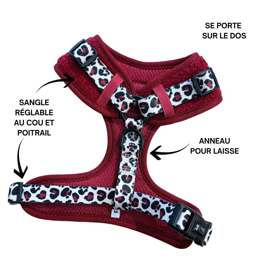 Harnais Classique H Teddy Bordeaux + Léopard – Ultra Doux & Ajustable - ARIZONA HOT DOGS - DOG DéliCAT