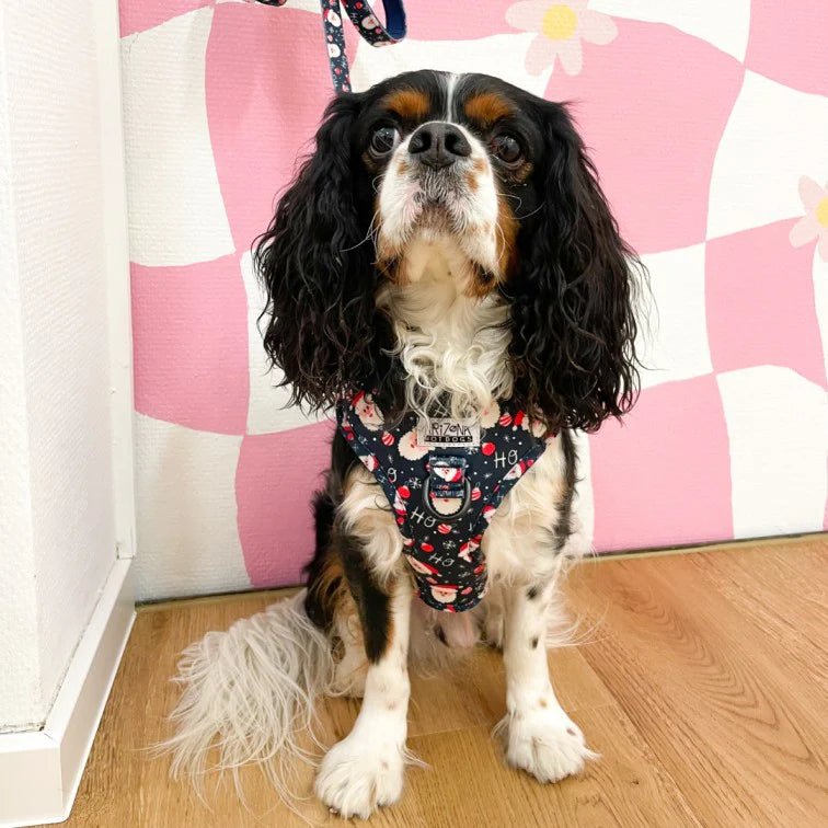 Harnais Classique HoHoHo Bleu Foncé – Motif Père Noël - ARIZONA HOT DOGS - DOG DéliCAT