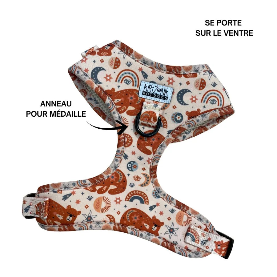 Harnais en H pour chien Luna Bear – Arizona Hotdogs – DOG DéliCAT