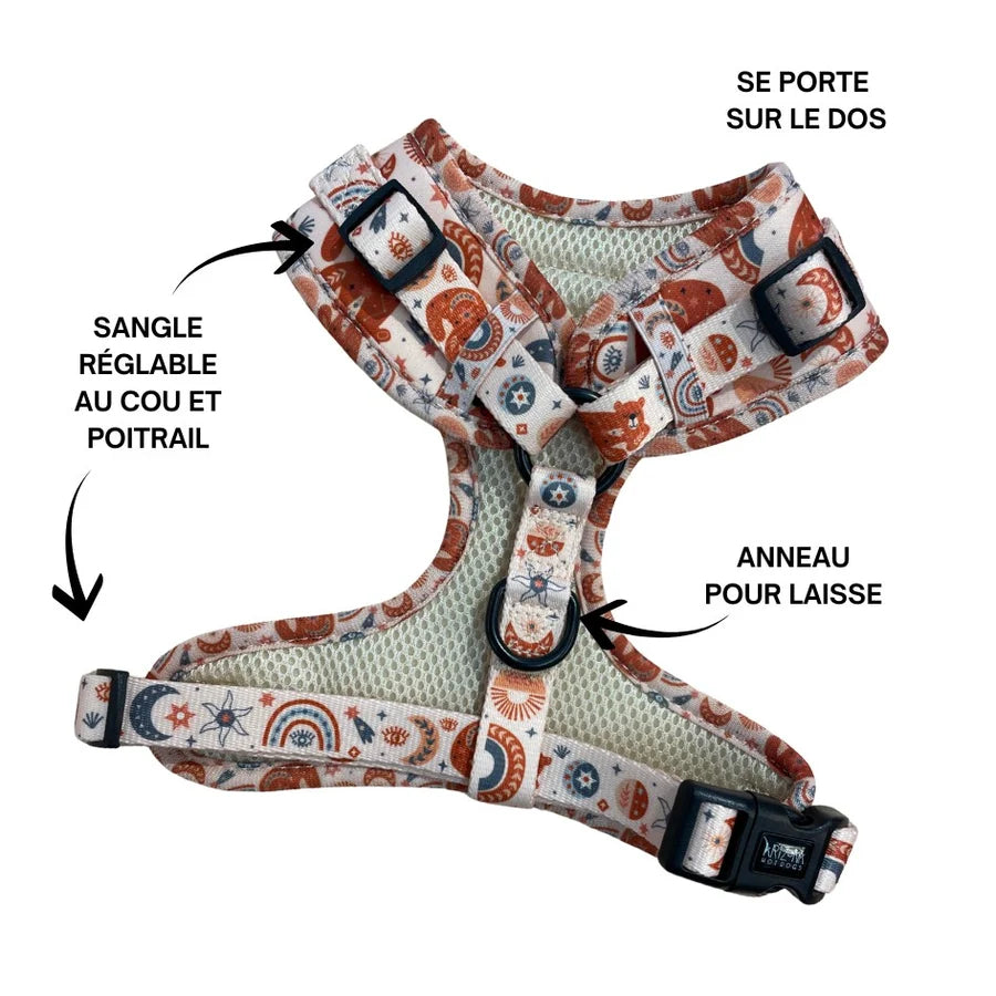 Harnais en H pour chien Luna Bear – Arizona Hotdogs – DOG DéliCAT