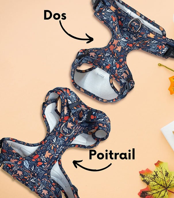 Harnais Comfy Fall in Love – anti - traction chic & confort - ARIZONA HOT DOGS - DOG DéliCAT