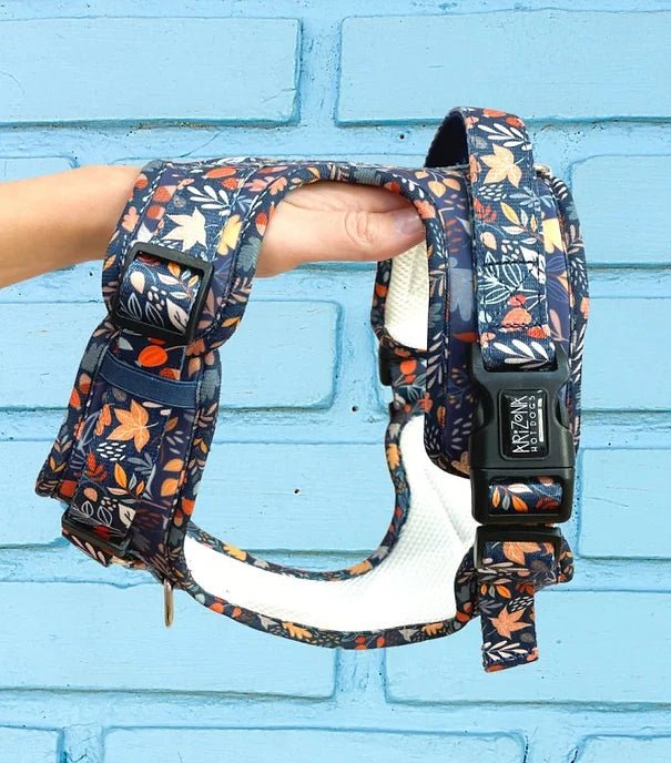 Harnais Comfy Fall in Love – anti - traction chic & confort - ARIZONA HOT DOGS - DOG DéliCAT