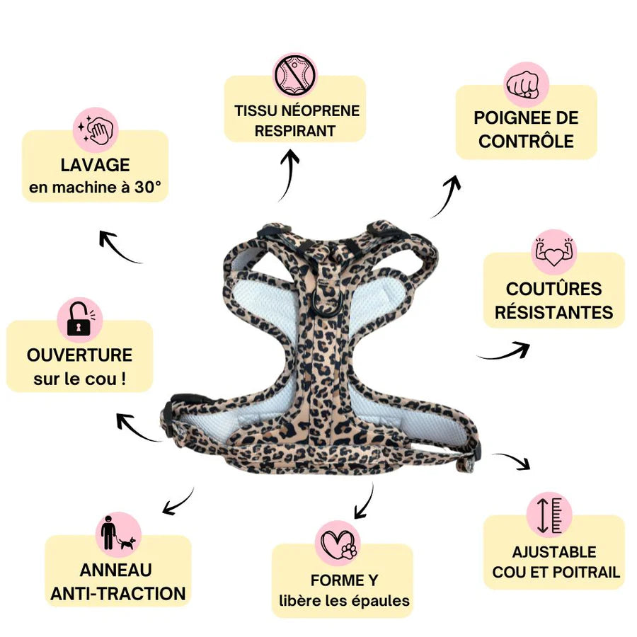 Harnais pour chien anti-traction Comfy Leopard - Arizona Hotdogs - DOG DéliCAT