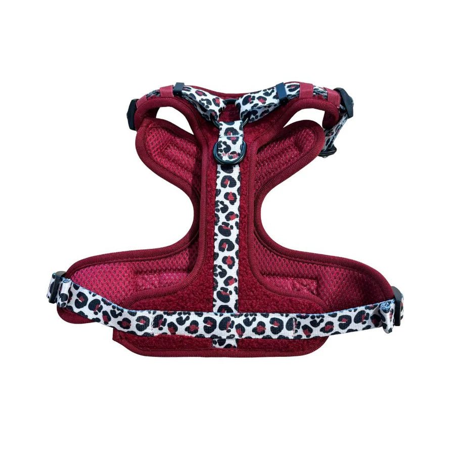 Harnais Comfy Teddy Bordeaux & Léopard – anti - traction cosy - ARIZONA HOT DOGS - DOG DéliCAT