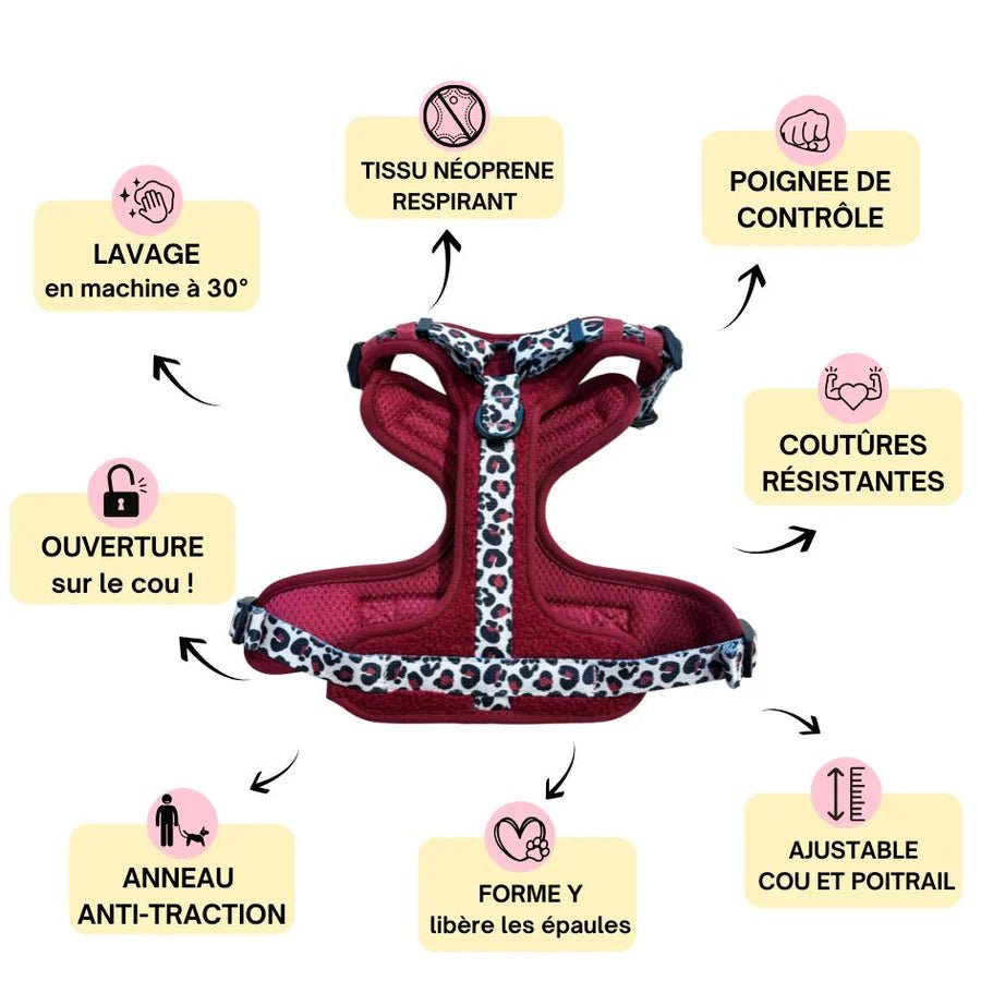 Harnais Comfy Teddy Bordeaux & Léopard – anti - traction cosy - ARIZONA HOT DOGS - DOG DéliCAT