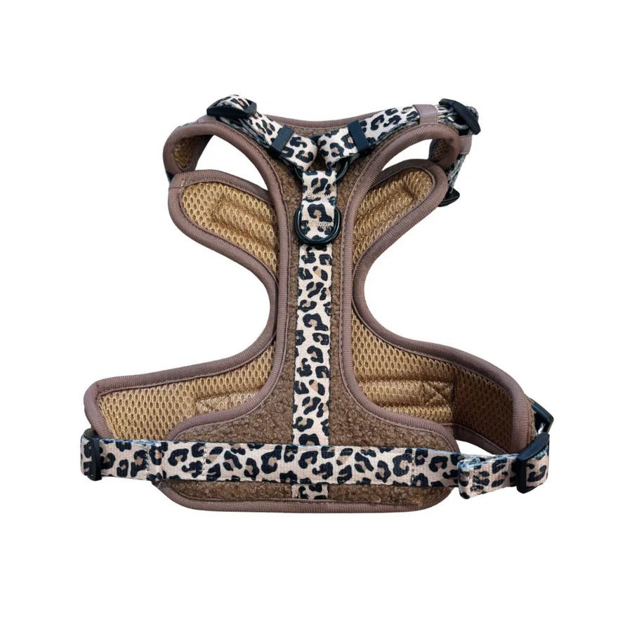 Harnais Comfy Teddy Brun + Léopard – Confort & Style - ARIZONA HOT DOGS - DOG DéliCAT