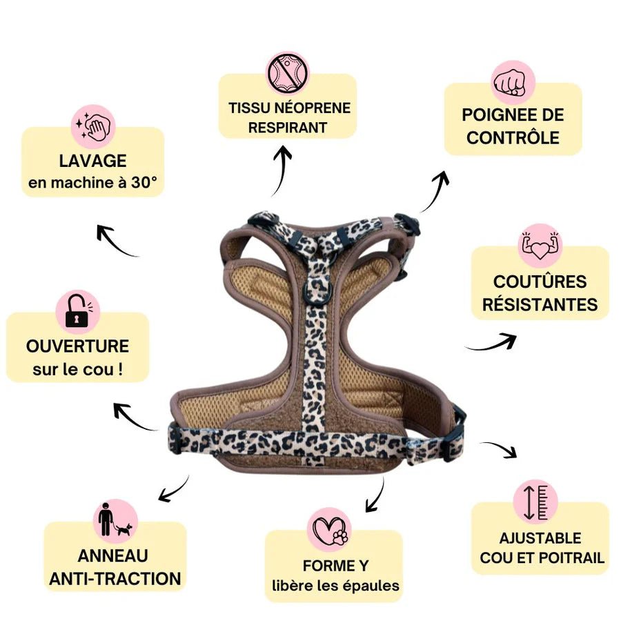 Harnais Comfy Teddy Brun + Léopard – Confort & Style - ARIZONA HOT DOGS - DOG DéliCAT