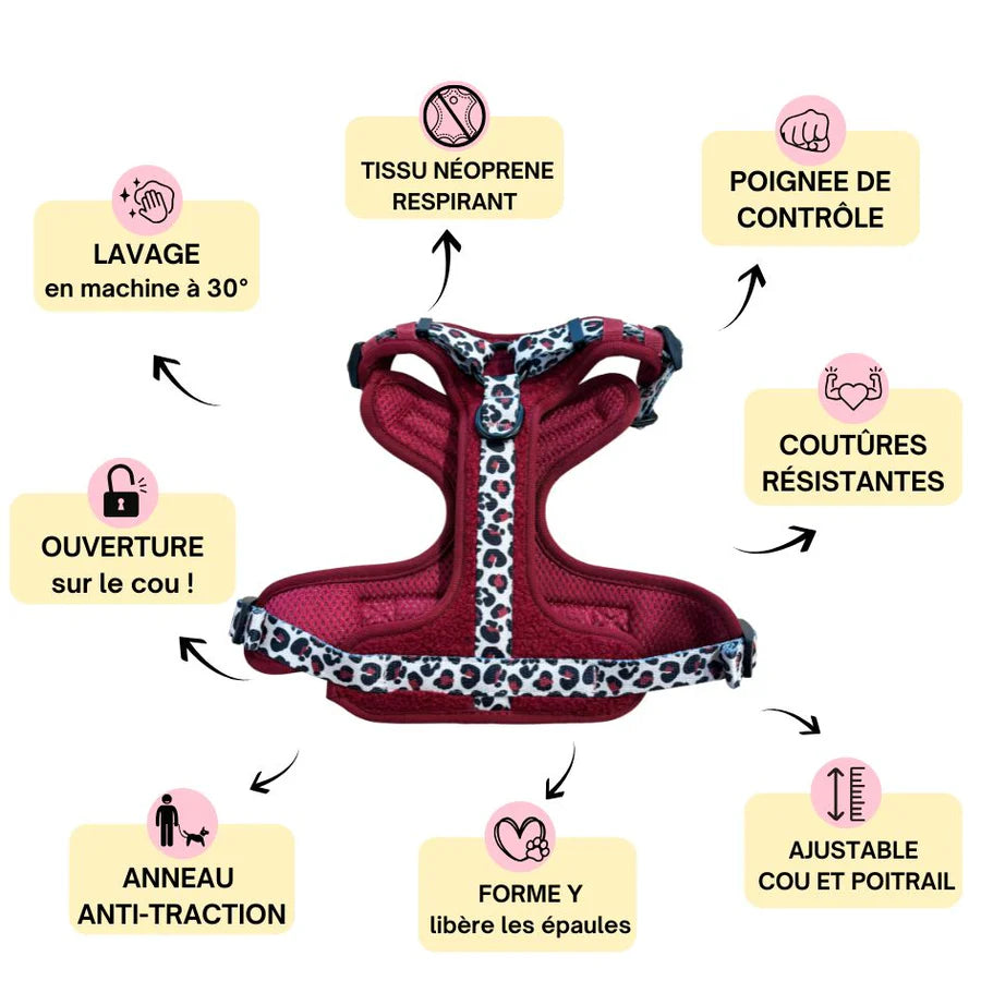 Harnais Comfy Teddy Sapin Léopard Arizona Hotdogs détails