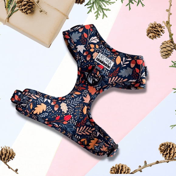 Harnais en H Fall in Love – automne chic & confort - ARIZONA HOT DOGS - DOG DéliCAT