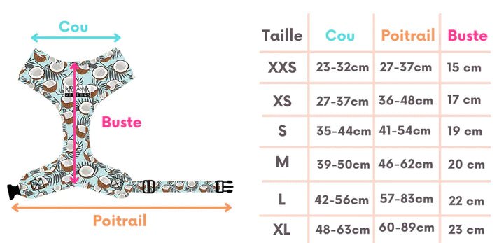 Harnais en H Moonlight – astrologie & confort étoilé - ARIZONA HOT DOGS - DOG DéliCAT
