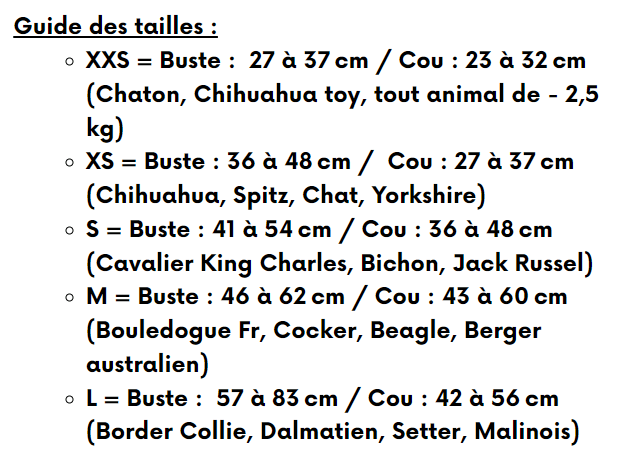 Harnais en H Moonlight – astrologie & confort étoilé - ARIZONA HOT DOGS - DOG DéliCAT