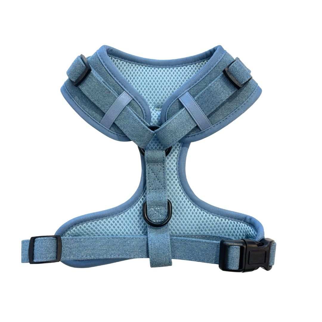 Harnais en H pour chien Daisy Jeans Arizona HotDogs – Arizona HotDogs – DOG DéliCAT