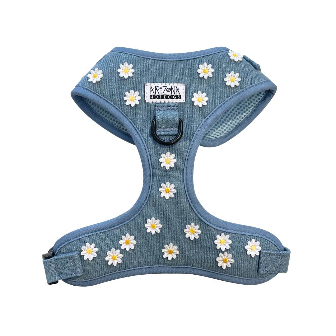 Harnais en H pour chien Daisy Jeans Arizona HotDogs – Arizona HotDogs – DOG DéliCAT