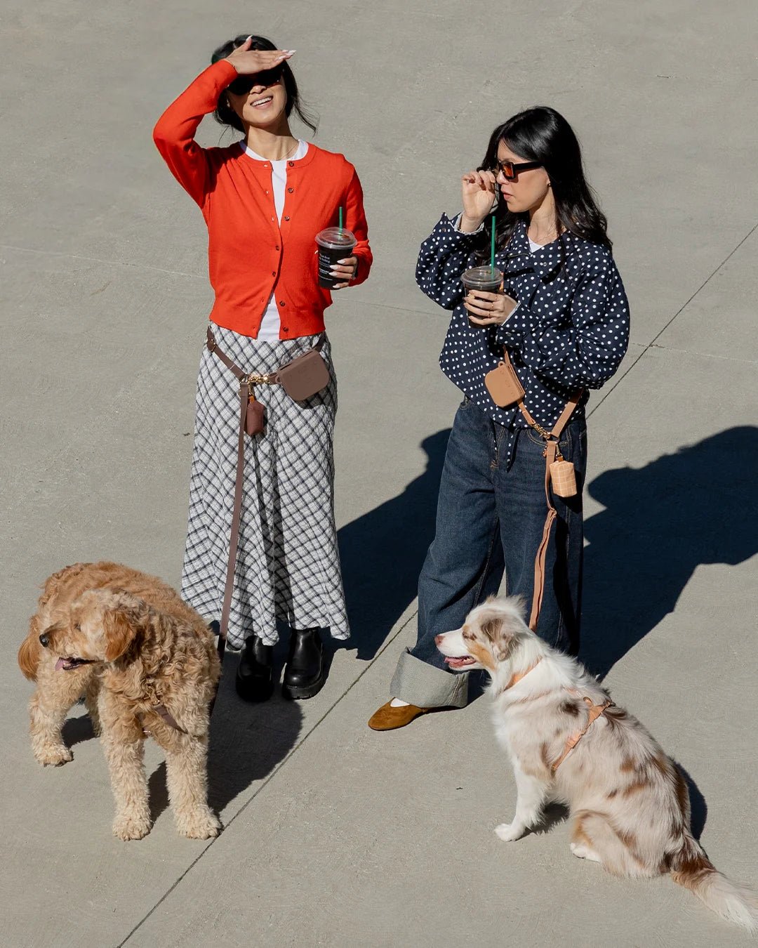 Harnais imperméable pour chien Marron Chaï Sunny Tails – Sunny Tails – DOG DéliCAT