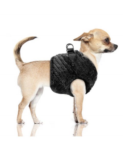 Harnais Inga fourrure noire – Élégance cosy pour chien stylé - MILK&PEPPER - DOG DéliCAT