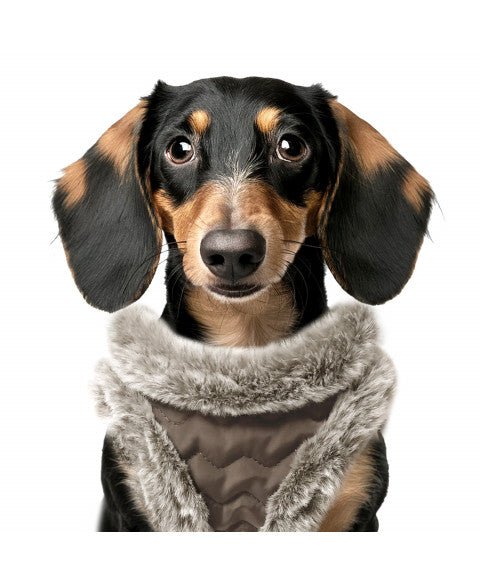 Harnais Louis doudoune marron glacé – petit à moyen chien - MILK&PEPPER - DOG DéliCAT