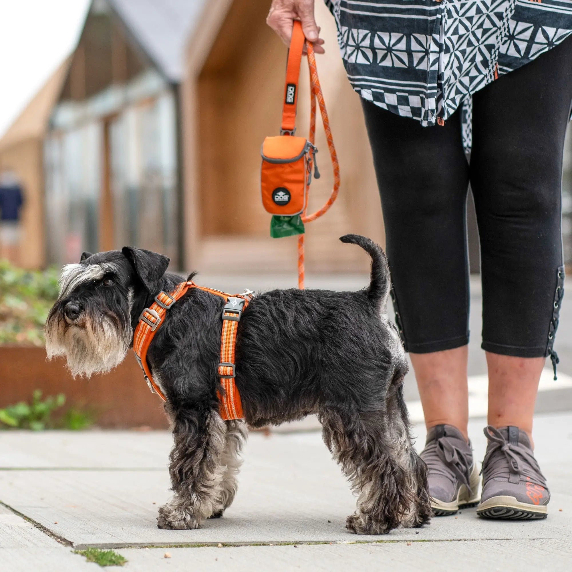 Harnais orange Comfort Walk Air™ – DOG Copenhagen - DOG COPENHAGEN - DOG DéliCAT