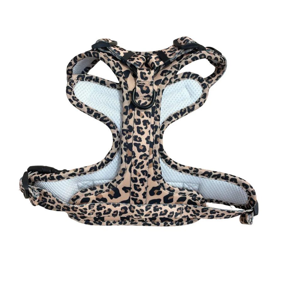 Harnais pour chien anti-traction Comfy Leopard - Arizona Hotdogs - DOG DéliCAT