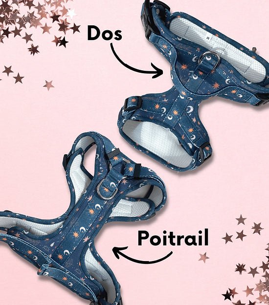 Harnais pour chien anti - traction - Comfy Monnlight - ARIZONA HOT DOGS - DOG DéliCAT