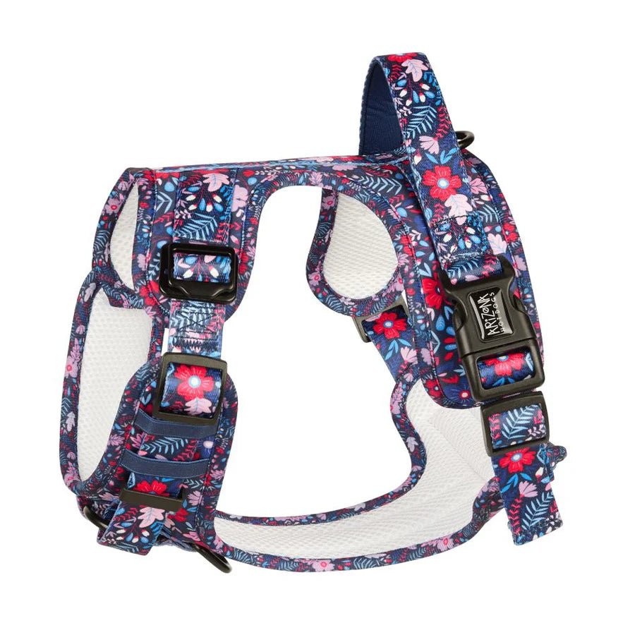 Harnais pour chien anti-traction Violala Arizona Hotdogs – Arizona Hotdogs – DOG DéliCAT