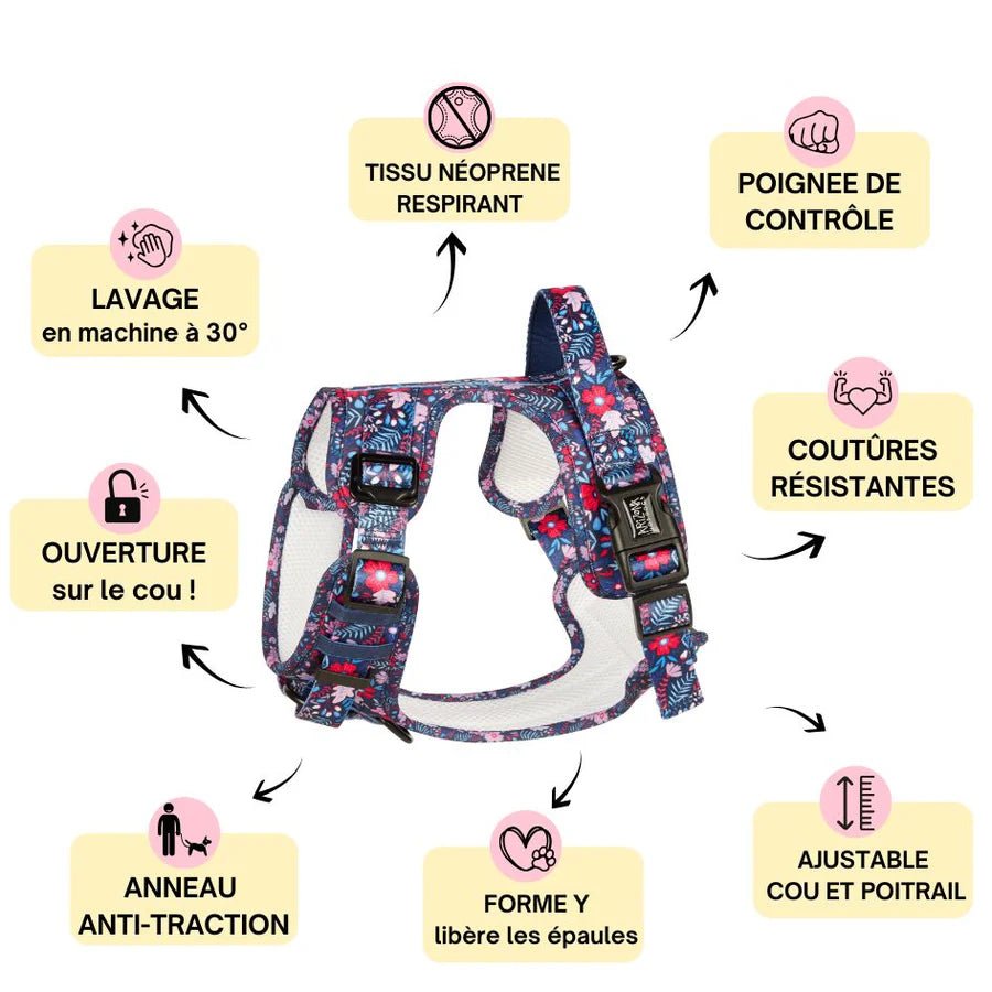Harnais pour chien anti-traction Violala Arizona Hotdogs – Arizona Hotdogs – DOG DéliCAT