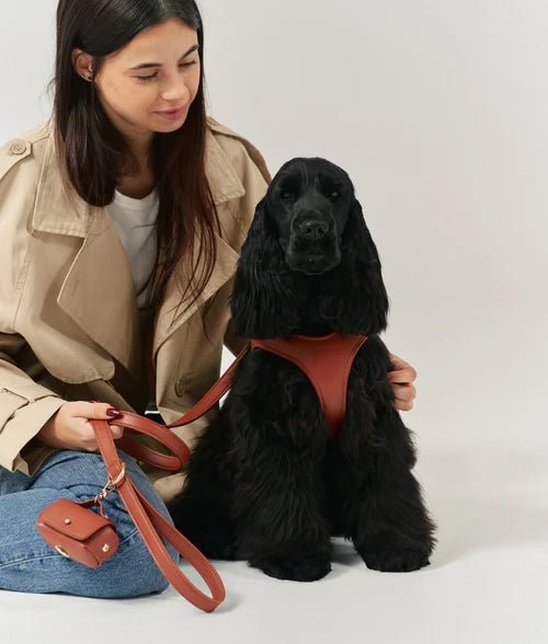Harnais pour Chien en Cuir Vegan Marron Camel – Jala - CAFIDE - DOG DéliCAT