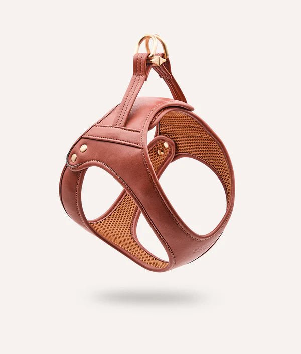 Harnais pour Chien en Cuir Vegan Marron Camel – Jala - CAFIDE - DOG DéliCAT
