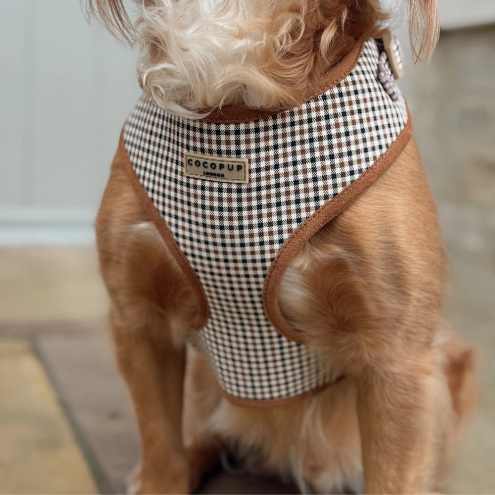 Harnais pour chien H réglable Heritage Check - Cocopup London - DOG DéliCAT