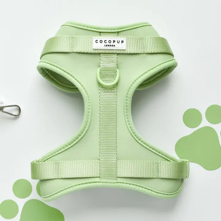 Harnais pour chien H réglable vert pastel matcha - Cocopup London - DOG DéliCAT