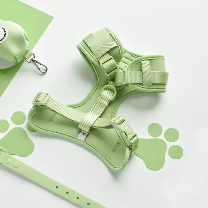Harnais pour chien H réglable vert pastel matcha - Cocopup London - DOG DéliCAT