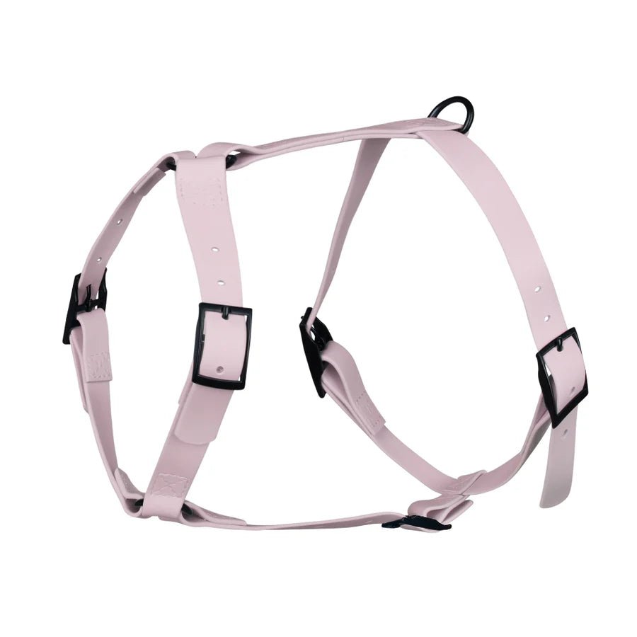 Harnais pour chien imperméable Gummy Lila – Arizona Hotdogs – DOG DéliCAT