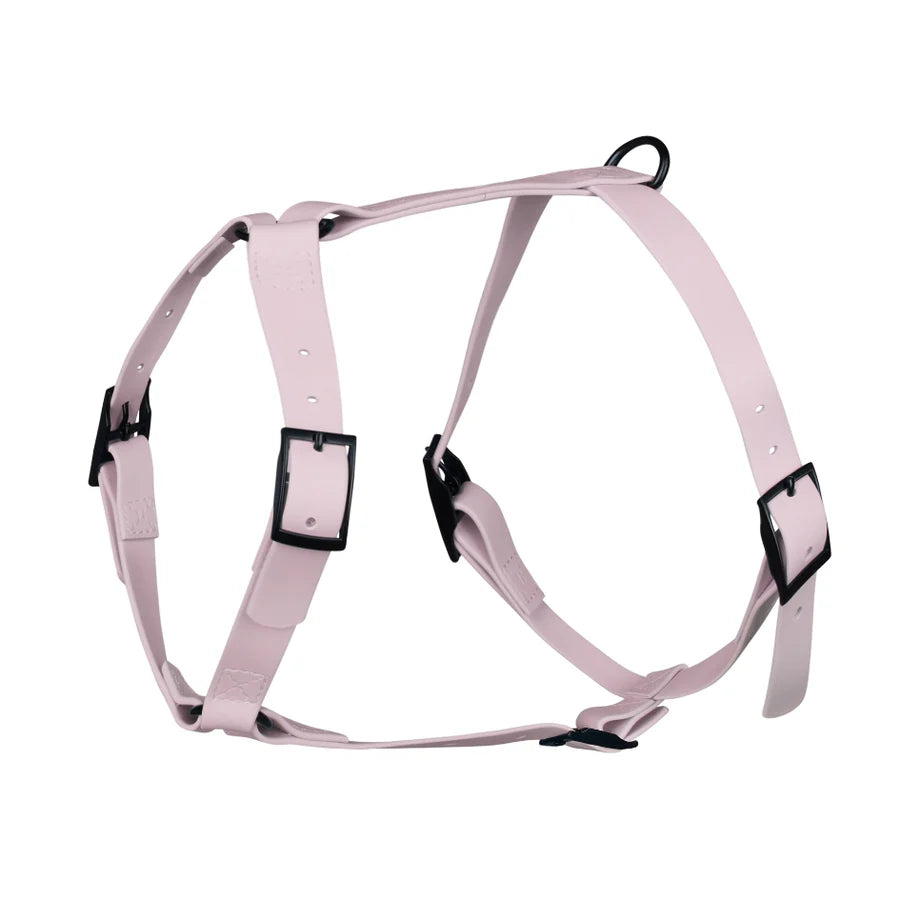 Harnais pour chien imperméable Gummy Lila – Arizona Hotdogs – DOG DéliCAT