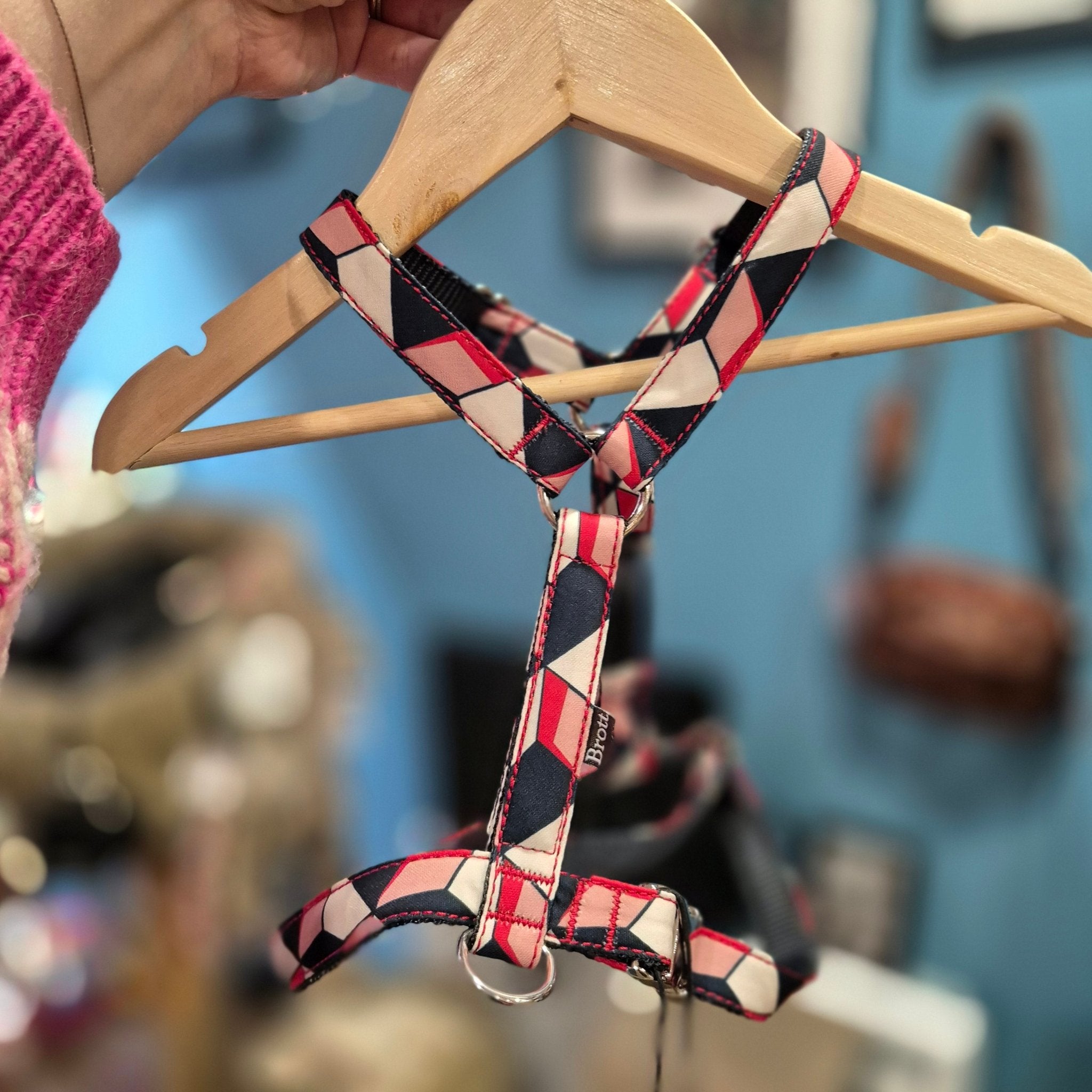 Harnais pour chien imprimé Riells - BROTT - DOG DéliCAT