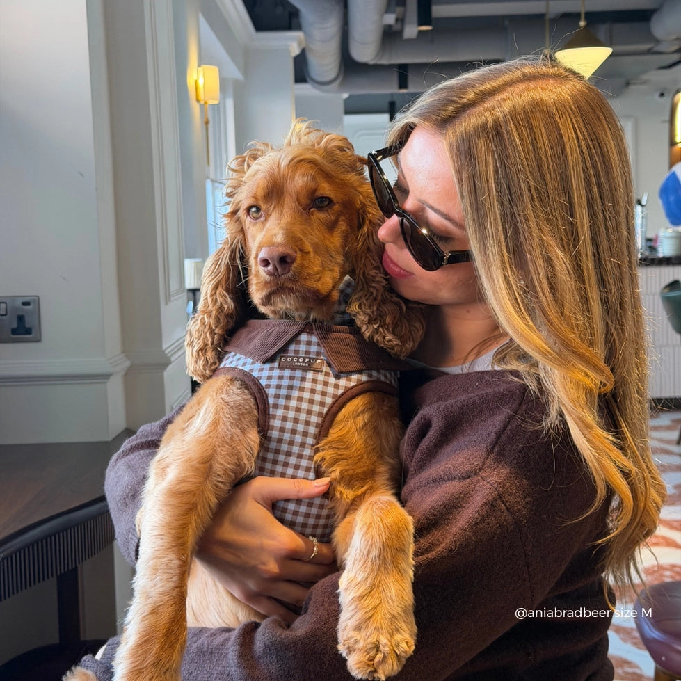 Harnais pour chien à carreaux Chelsea Check CocoPup London – CocoPup London – DOG DéliCAT