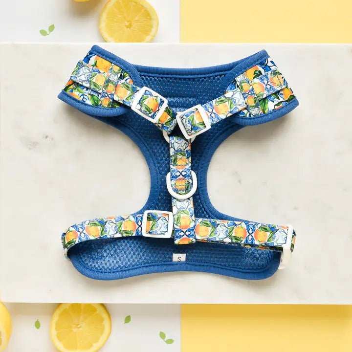 Harnais pour chien réglable Amalfi Lemon CocoPup London – CocoPup London – DOG DéliCAT