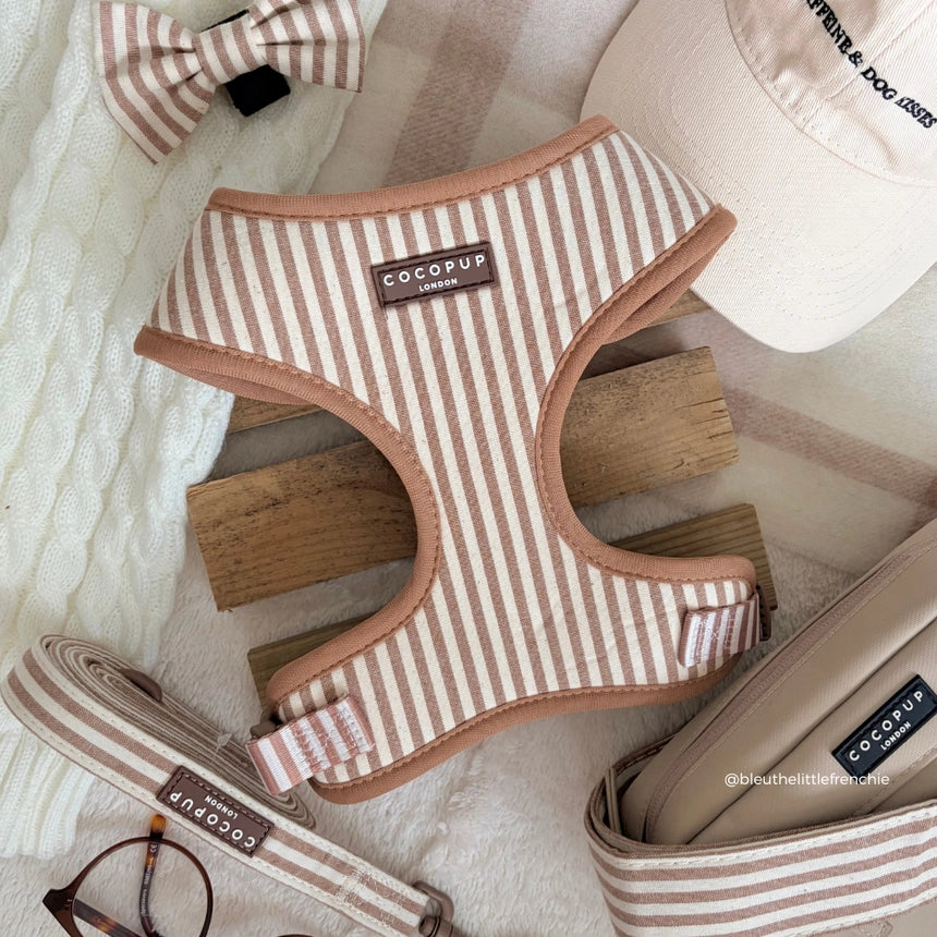 Harnais pour chien réglable London Linen Stripes CocoPup London – CocoPup London – DOG DéliCAT