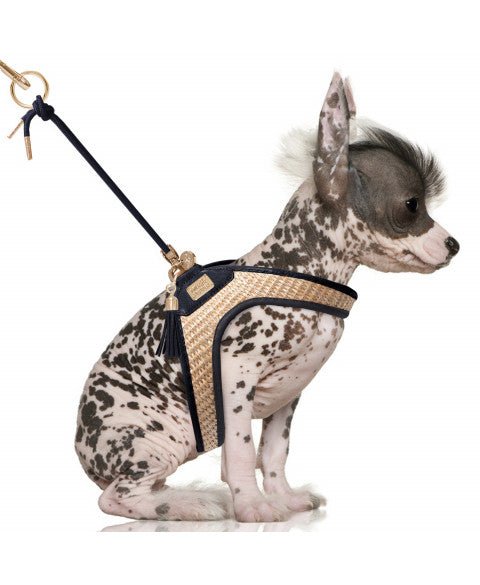 Harnais sling Luciana paille marine Milk & Pepper – Milk & Pepper – DOG DéliCAT