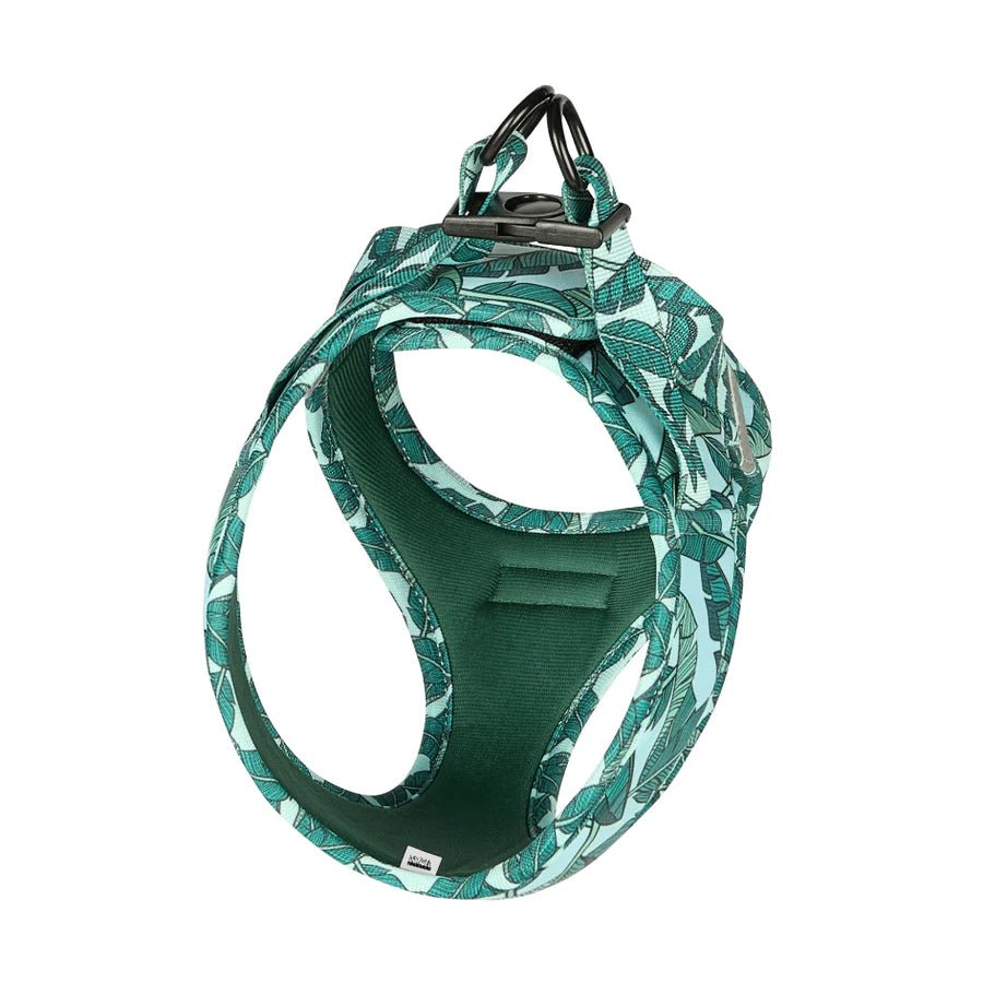 Harnais Step - In Amazonia – veste tropicale chic & confort - ARIZONA HOT DOGS - DOG DéliCAT