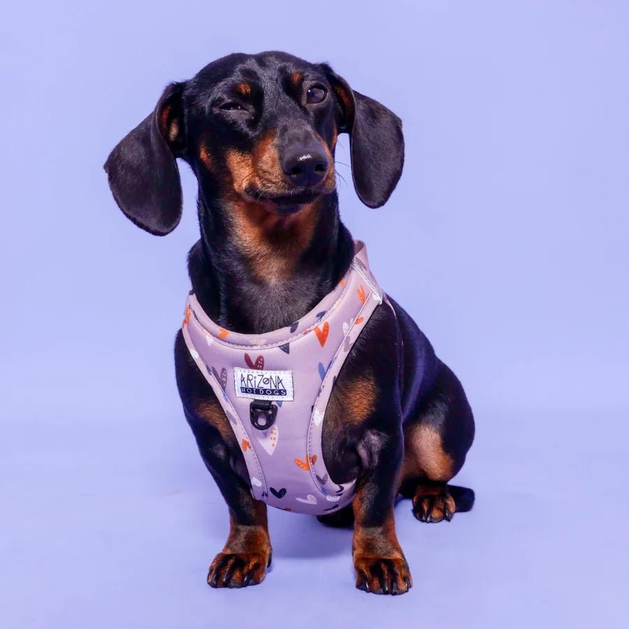 Harnais Step - In Sweet Love – veste douce & romantique - ARIZONA HOT DOGS - DOG DéliCAT