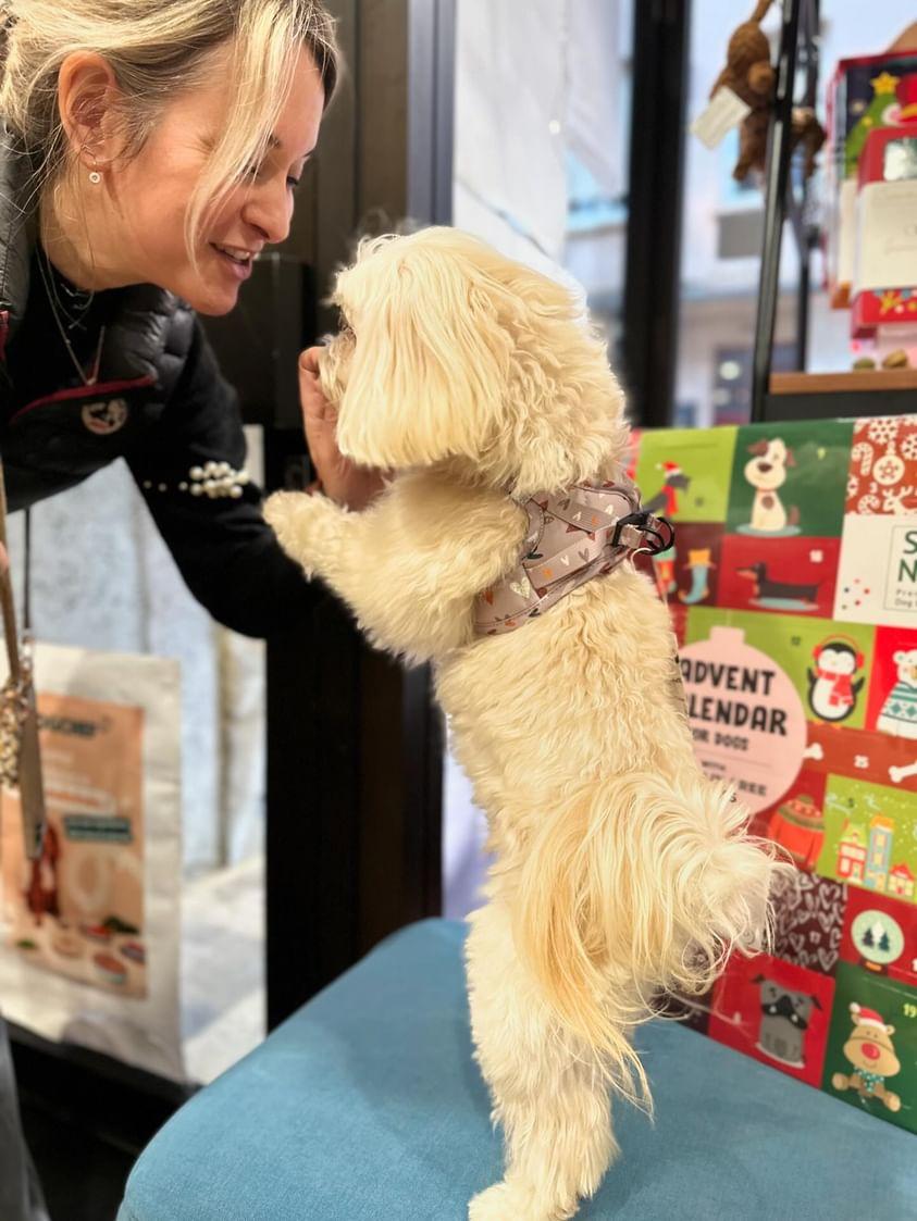 Harnais Step - In Sweet Love – veste douce & romantique - ARIZONA HOT DOGS - DOG DéliCAT