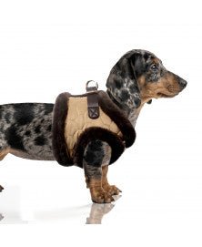 Harnais veste pour chien Monty Milk & Pepper – Milk & Pepper – DOG DéliCAT