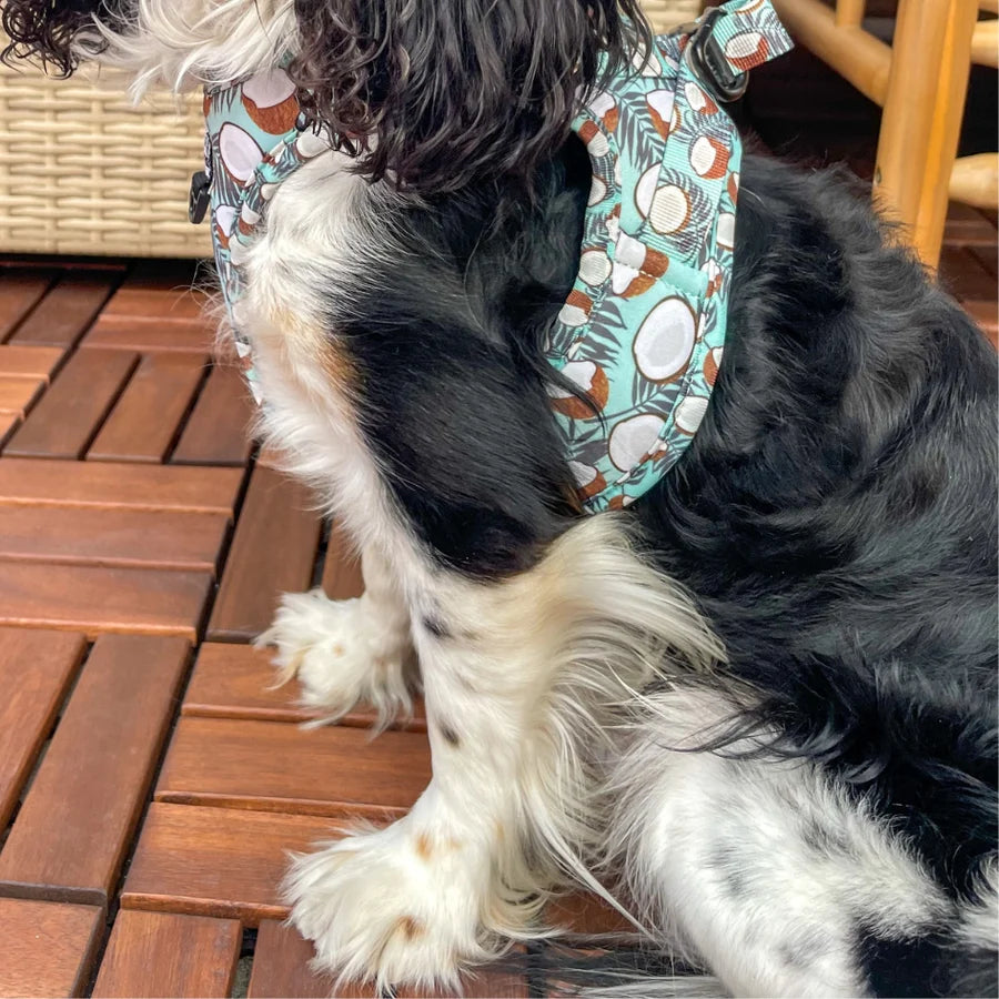Harnais Step-In CocoNut – Harnais veste pour chien et chat