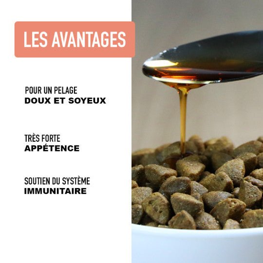 Huile de saumon pour chien et chat peau et pelage Atavik – Atavik – DOG DéliCAT
